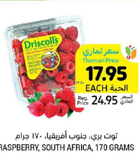  Apples  in أسواق التميمي in مملكة العربية السعودية, السعودية, سعودية - المدينة المنورة