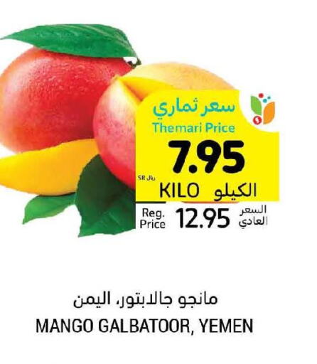 Mango   in Tamimi Market in KSA, Saudi Arabia, Saudi - Unayzah