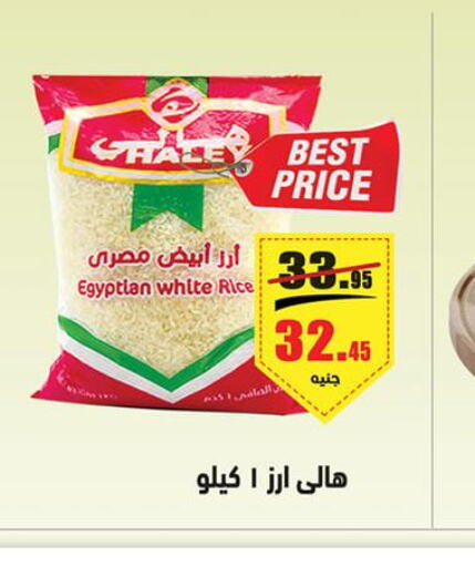 HALEY Egyptian / Calrose Rice  in أسواق العثيم in Egypt - القاهرة