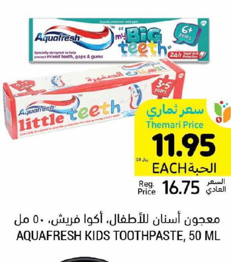 AQUAFRESH Toothpaste  in Tamimi Market in KSA, Saudi Arabia, Saudi - Al Khobar