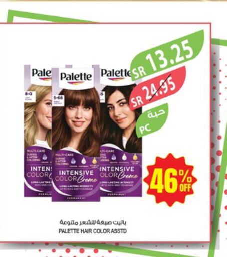 PALETTE Hair Colour  in المزرعة in مملكة العربية السعودية, السعودية, سعودية - الأحساء‎