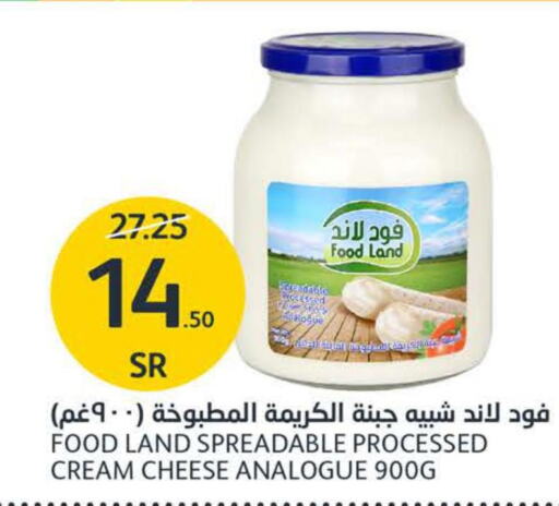  Cream Cheese  in AlJazera Shopping Center in KSA, Saudi Arabia, Saudi - Riyadh