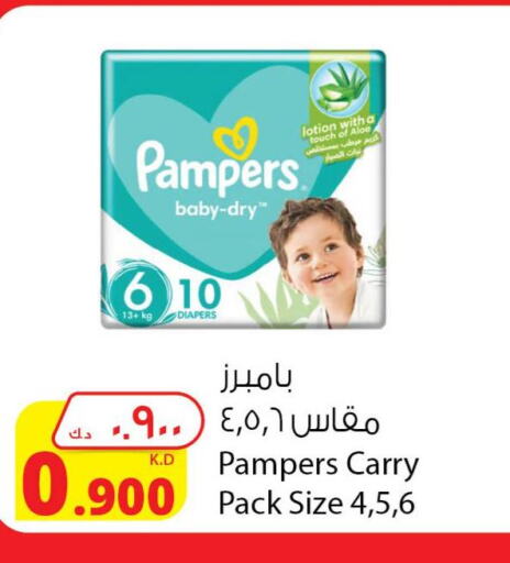 Pampers   in شركة المنتجات الزراعية الغذائية in الكويت - محافظة الأحمدي