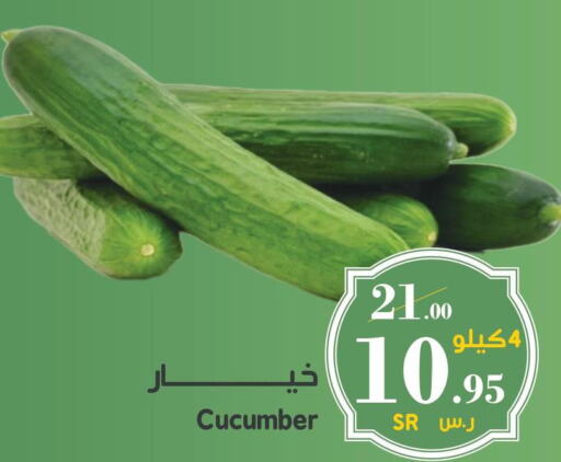  Cucumber  in ميرا مارت مول in مملكة العربية السعودية, السعودية, سعودية - جدة