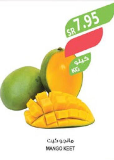 Mango   in المزرعة in مملكة العربية السعودية, السعودية, سعودية - جازان