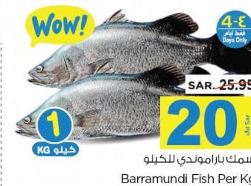  King Fish  in نستو in مملكة العربية السعودية, السعودية, سعودية - الخبر‎