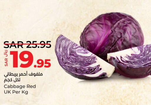  Cabbage  in LULU Hypermarket in KSA, Saudi Arabia, Saudi - Jubail