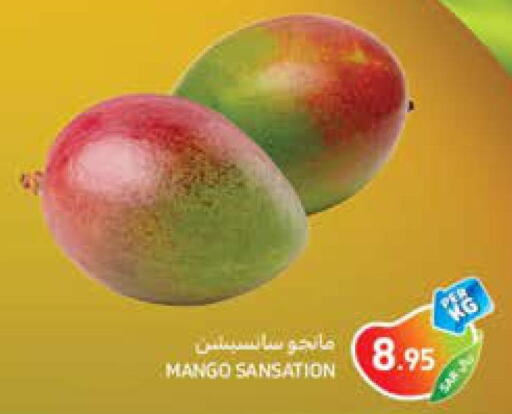 Mango   in كارفور in مملكة العربية السعودية, السعودية, سعودية - سكاكا