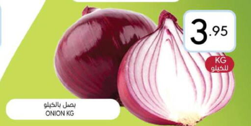  Onion  in Manuel Market in KSA, Saudi Arabia, Saudi - Riyadh