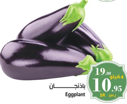  Cabbage  in ميرا مارت مول in مملكة العربية السعودية, السعودية, سعودية - جدة
