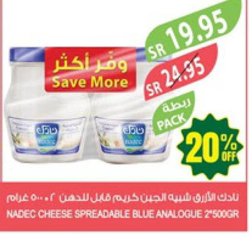NADEC Analogue Cream  in Farm  in KSA, Saudi Arabia, Saudi - Najran
