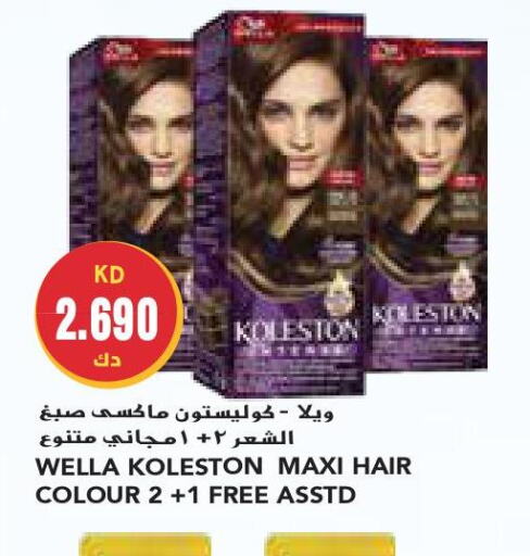 KOLLESTON Hair Colour  in Grand Costo in Kuwait - Ahmadi Governorate