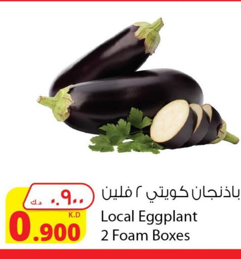 GALAXY   in Agricultural Food Products Co. in Kuwait - Kuwait City