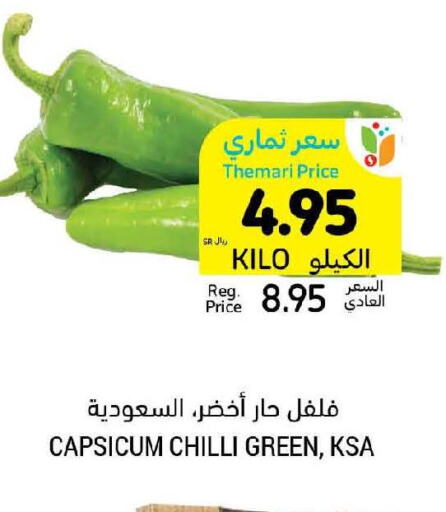  Chilli / Capsicum  in Tamimi Market in KSA, Saudi Arabia, Saudi - Buraidah