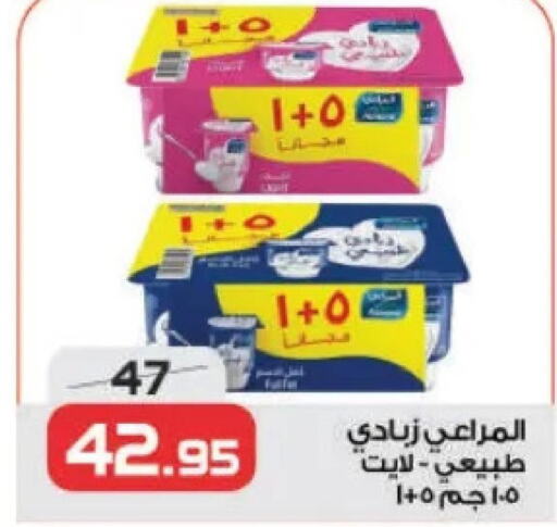 ALMARAI Yoghurt  in زهران ماركت in Egypt - القاهرة