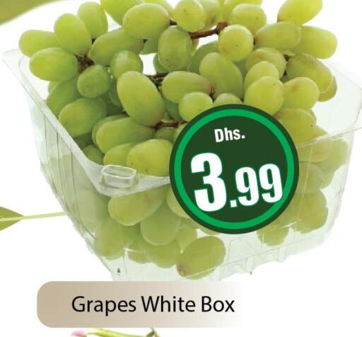  Grapes  in المدينة in الإمارات العربية المتحدة , الامارات - دبي