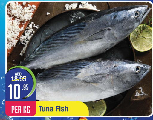  Tuna  in West Zone Supermarket in UAE - Dubai