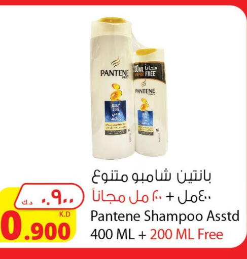 PANTENE Shampoo / Conditioner  in شركة المنتجات الزراعية الغذائية in الكويت - محافظة الأحمدي