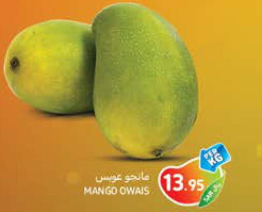 Mango   in كارفور in مملكة العربية السعودية, السعودية, سعودية - المدينة المنورة