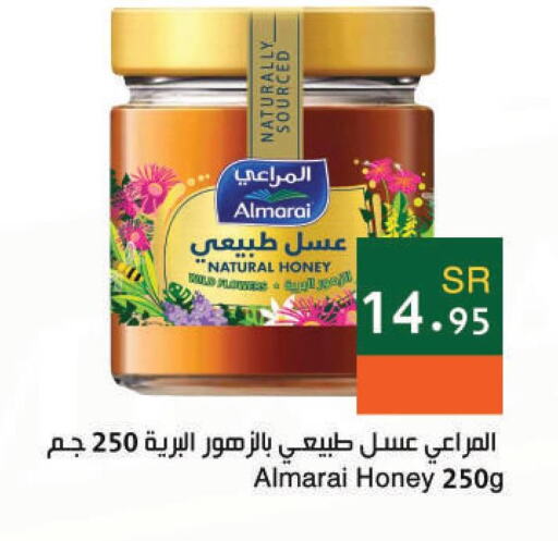 ALMARAI Honey  in Hala Markets in KSA, Saudi Arabia, Saudi - Dammam