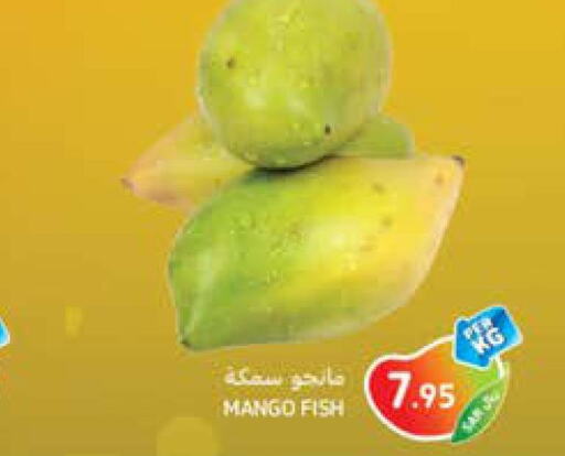Mango   in كارفور in مملكة العربية السعودية, السعودية, سعودية - الخبر‎