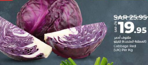  Cabbage  in LULU Hypermarket in KSA, Saudi Arabia, Saudi - Hail