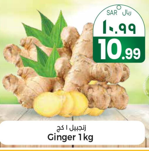  Ginger  in City Flower in KSA, Saudi Arabia, Saudi - Sakaka