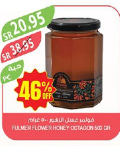  Honey  in المزرعة in مملكة العربية السعودية, السعودية, سعودية - نجران