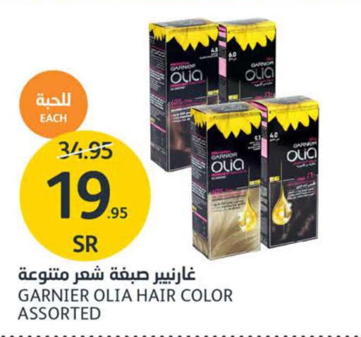 GARNIER Hair Colour  in مركز الجزيرة للتسوق in مملكة العربية السعودية, السعودية, سعودية - الرياض