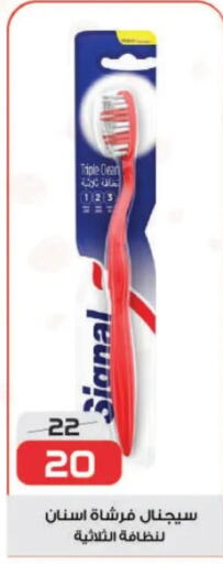 SIGNAL Toothbrush  in زهران ماركت in Egypt - القاهرة