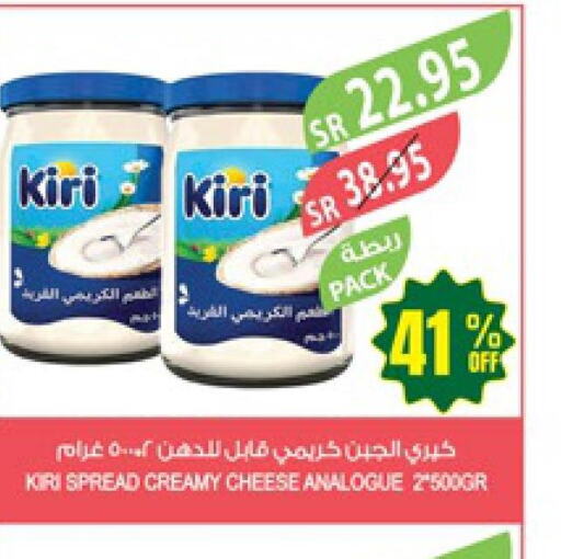 KIRI Analogue Cream  in Farm  in KSA, Saudi Arabia, Saudi - Al Hasa