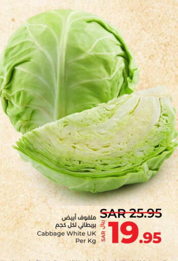  Cabbage  in لولو هايبرماركت in مملكة العربية السعودية, السعودية, سعودية - الخبر‎