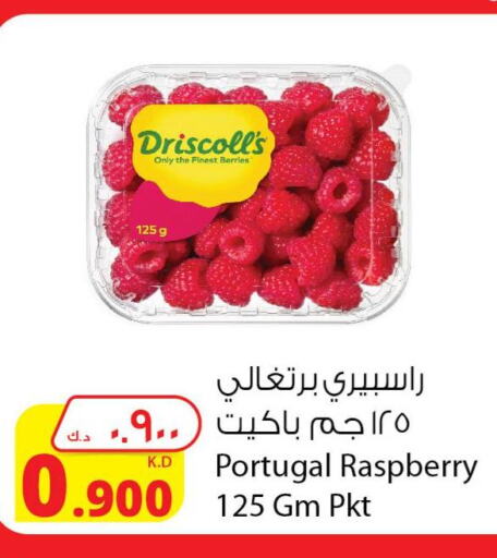  Berries  in شركة المنتجات الزراعية الغذائية in الكويت - محافظة الأحمدي