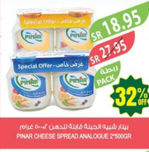 PINAR Analogue Cream  in Farm  in KSA, Saudi Arabia, Saudi - Najran