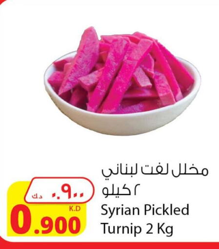  Turnip  in شركة المنتجات الزراعية الغذائية in الكويت - محافظة الجهراء