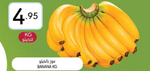  Banana  in مانويل ماركت in مملكة العربية السعودية, السعودية, سعودية - الرياض