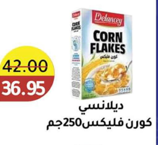 DELANCEY Corn Flakes  in Wekalet Elmansoura - Dakahlia  in Egypt - Cairo