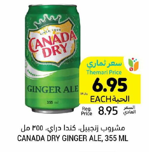 CANADA DRY   in أسواق التميمي in مملكة العربية السعودية, السعودية, سعودية - جدة