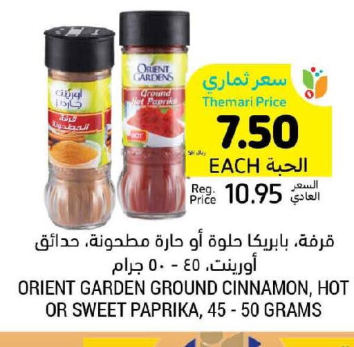 SHAN Salt  in أسواق التميمي in مملكة العربية السعودية, السعودية, سعودية - الجبيل‎