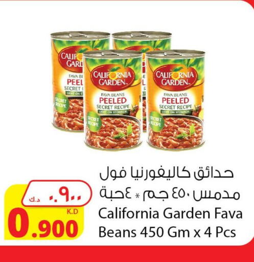 CALIFORNIA GARDEN Fava Beans  in شركة المنتجات الزراعية الغذائية in الكويت - محافظة الأحمدي
