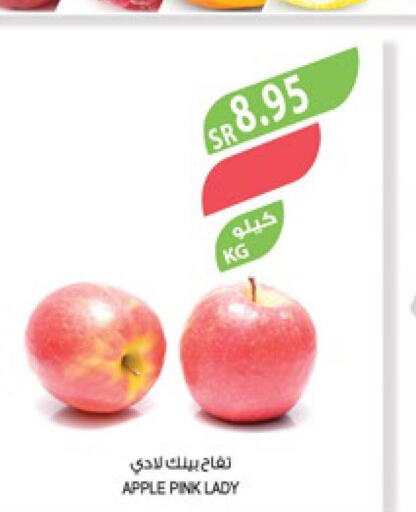  Apples  in المزرعة in مملكة العربية السعودية, السعودية, سعودية - عرعر