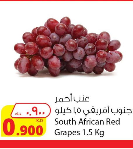  Grapes  in شركة المنتجات الزراعية الغذائية in الكويت - محافظة الأحمدي