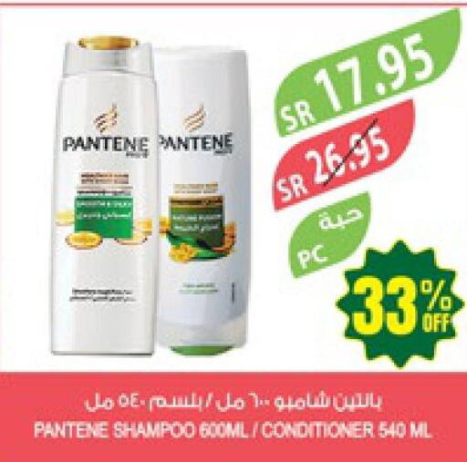 PANTENE Shampoo / Conditioner  in المزرعة in مملكة العربية السعودية, السعودية, سعودية - نجران