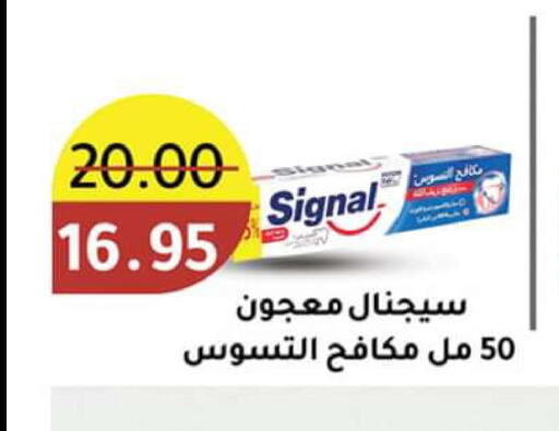 SIGNAL Toothpaste  in وكالة المنصورة - الدقهلية‎ in Egypt - القاهرة