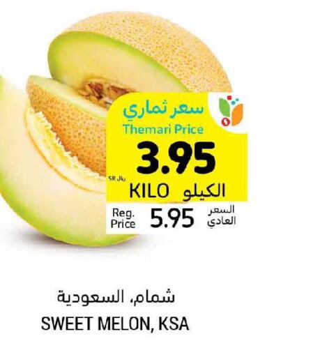  Sweet melon  in Tamimi Market in KSA, Saudi Arabia, Saudi - Unayzah