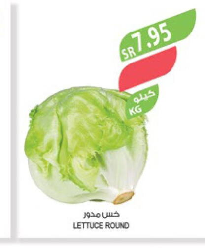  Beetroot  in المزرعة in مملكة العربية السعودية, السعودية, سعودية - الأحساء‎