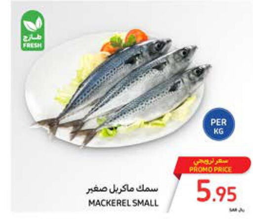  King Fish  in Carrefour in KSA, Saudi Arabia, Saudi - Riyadh