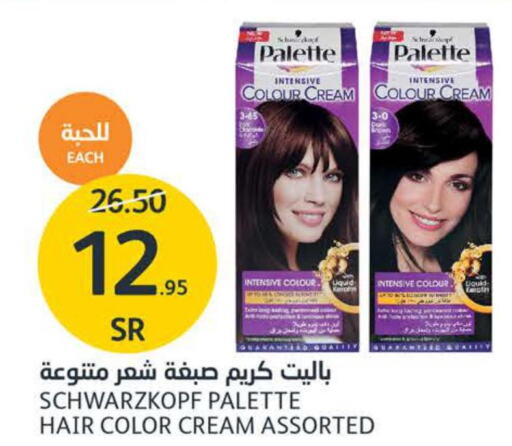 PALETTE Hair Colour  in مركز الجزيرة للتسوق in مملكة العربية السعودية, السعودية, سعودية - الرياض