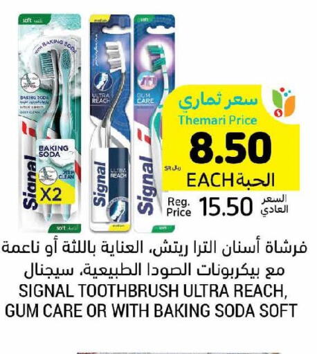 SIGNAL Toothbrush  in أسواق التميمي in مملكة العربية السعودية, السعودية, سعودية - تبوك