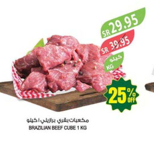  Beef  in Farm  in KSA, Saudi Arabia, Saudi - Al-Kharj